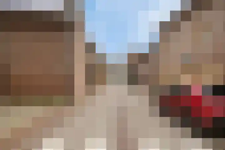 Stokhem 70 Wijlre thumbnail 40