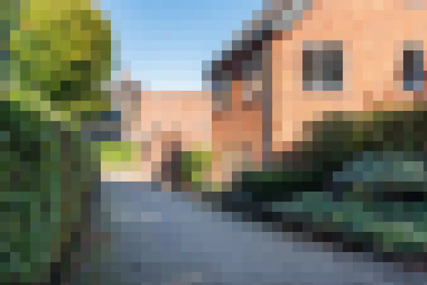 Stokhorsterweg 1 Ulft thumbnail 100