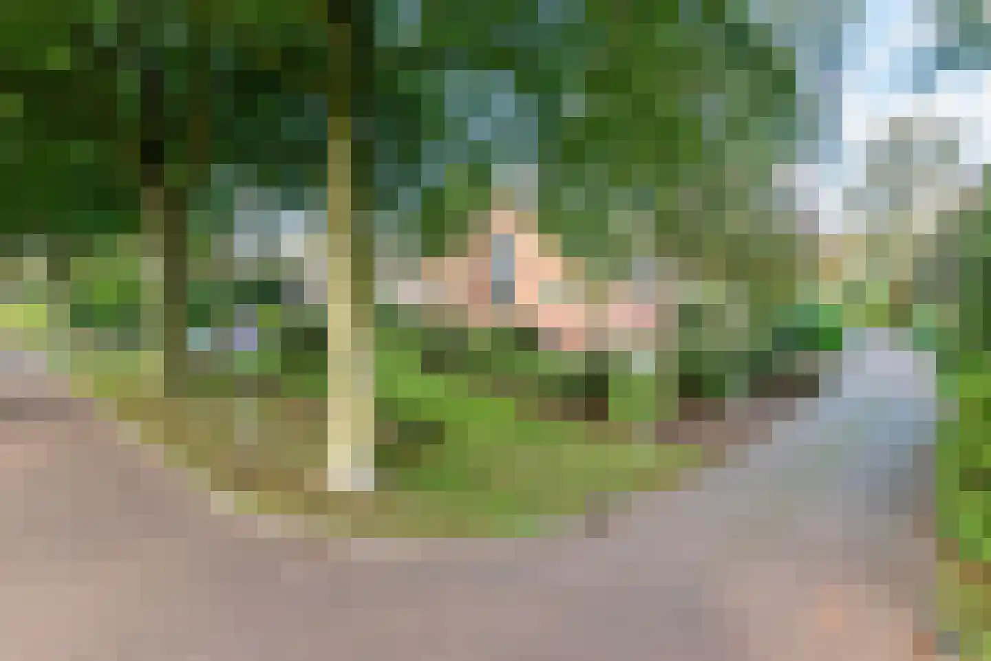 Stokhorsterweg 1 Ulft thumbnail 103