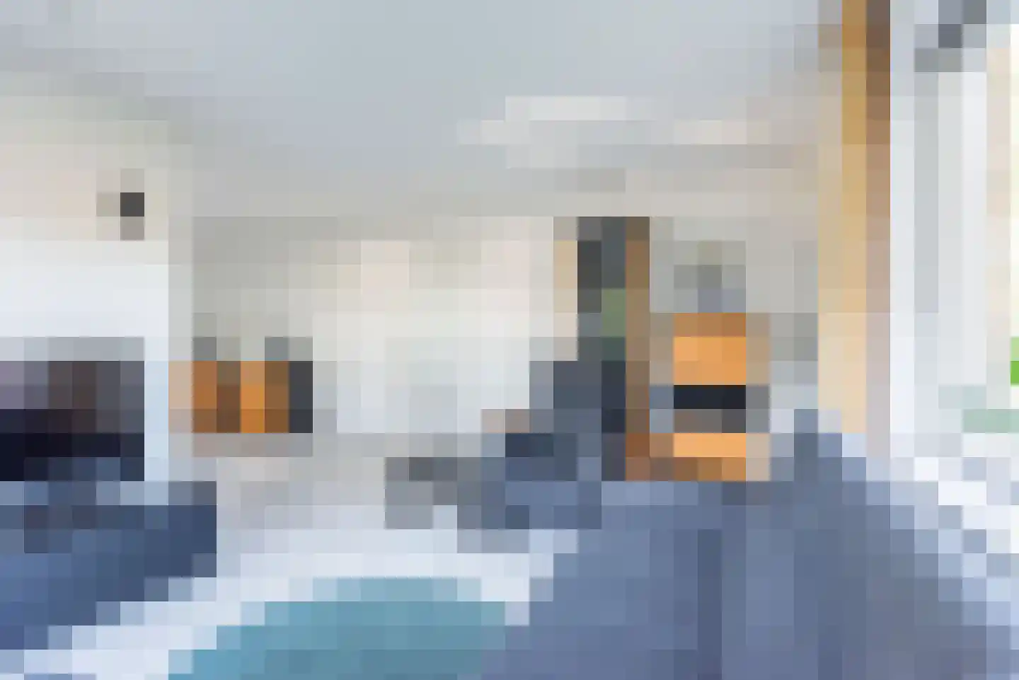 Stokhorsterweg 1 Ulft thumbnail 23