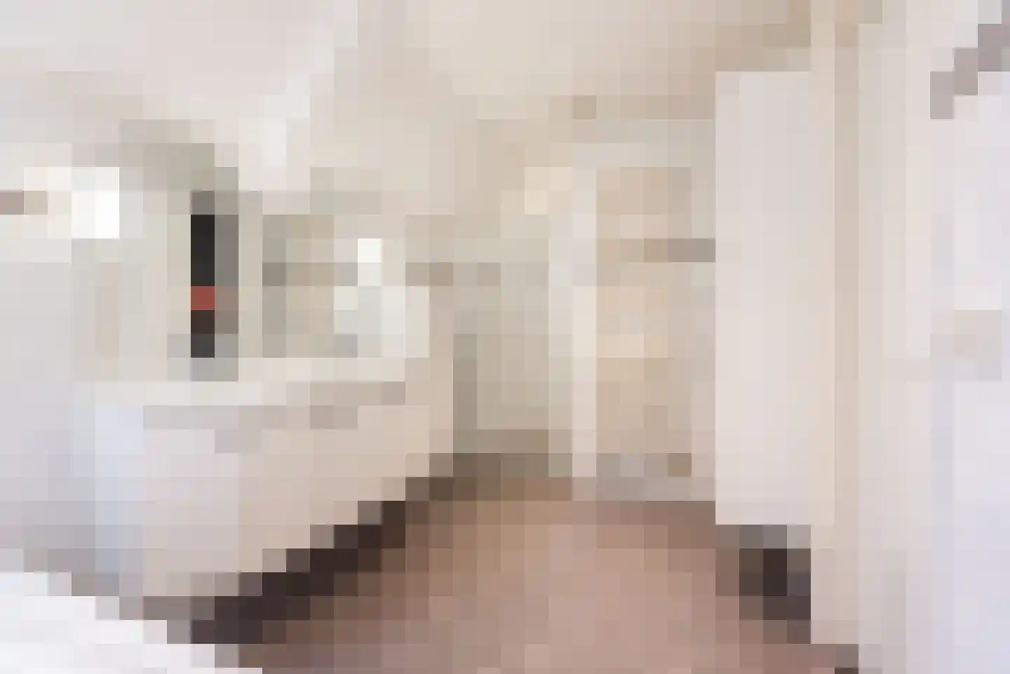 Stokhorsterweg 1 Ulft thumbnail 32
