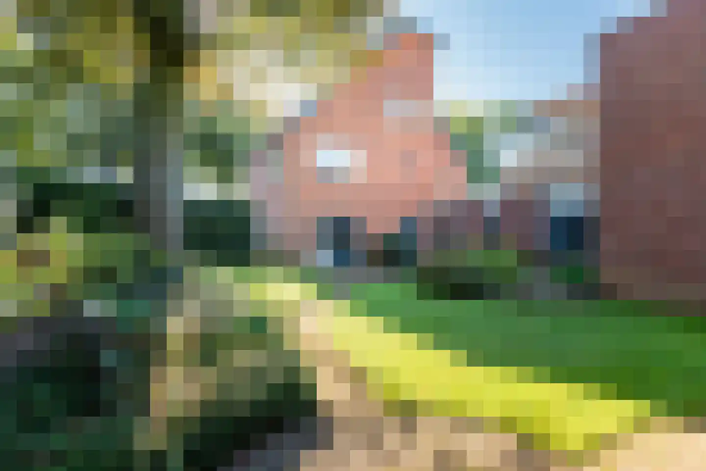 Stokhorsterweg 1 Ulft thumbnail 4