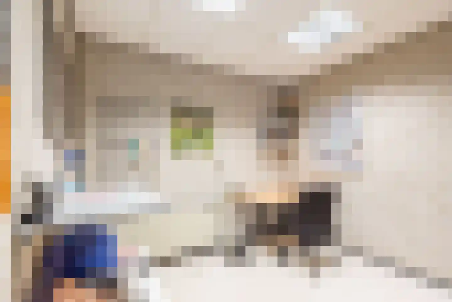 Stokhorsterweg 1 Ulft thumbnail 90