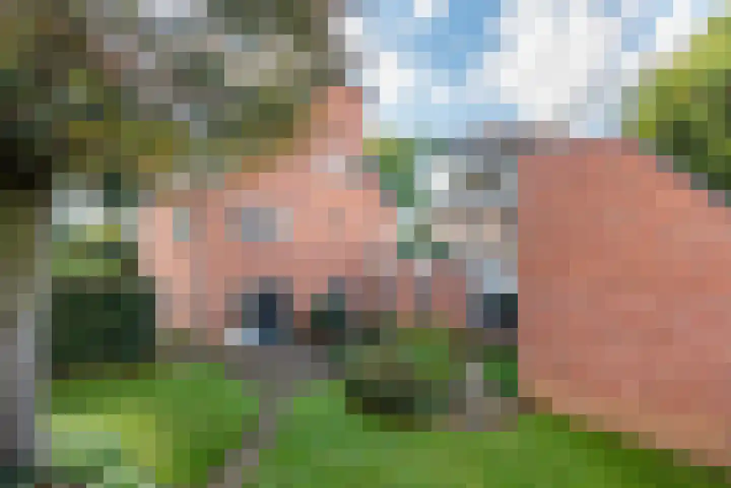Stokhorsterweg 1 Ulft thumbnail 91
