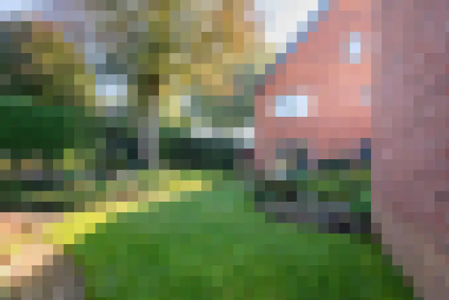 Stokhorsterweg 1 Ulft thumbnail 95