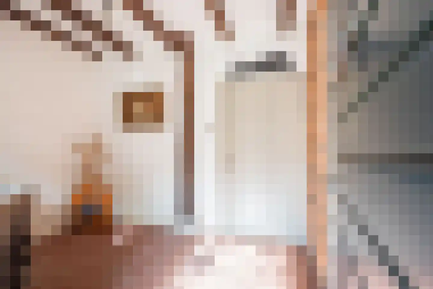 Stokhorsterweg 5 Ulft thumbnail 11
