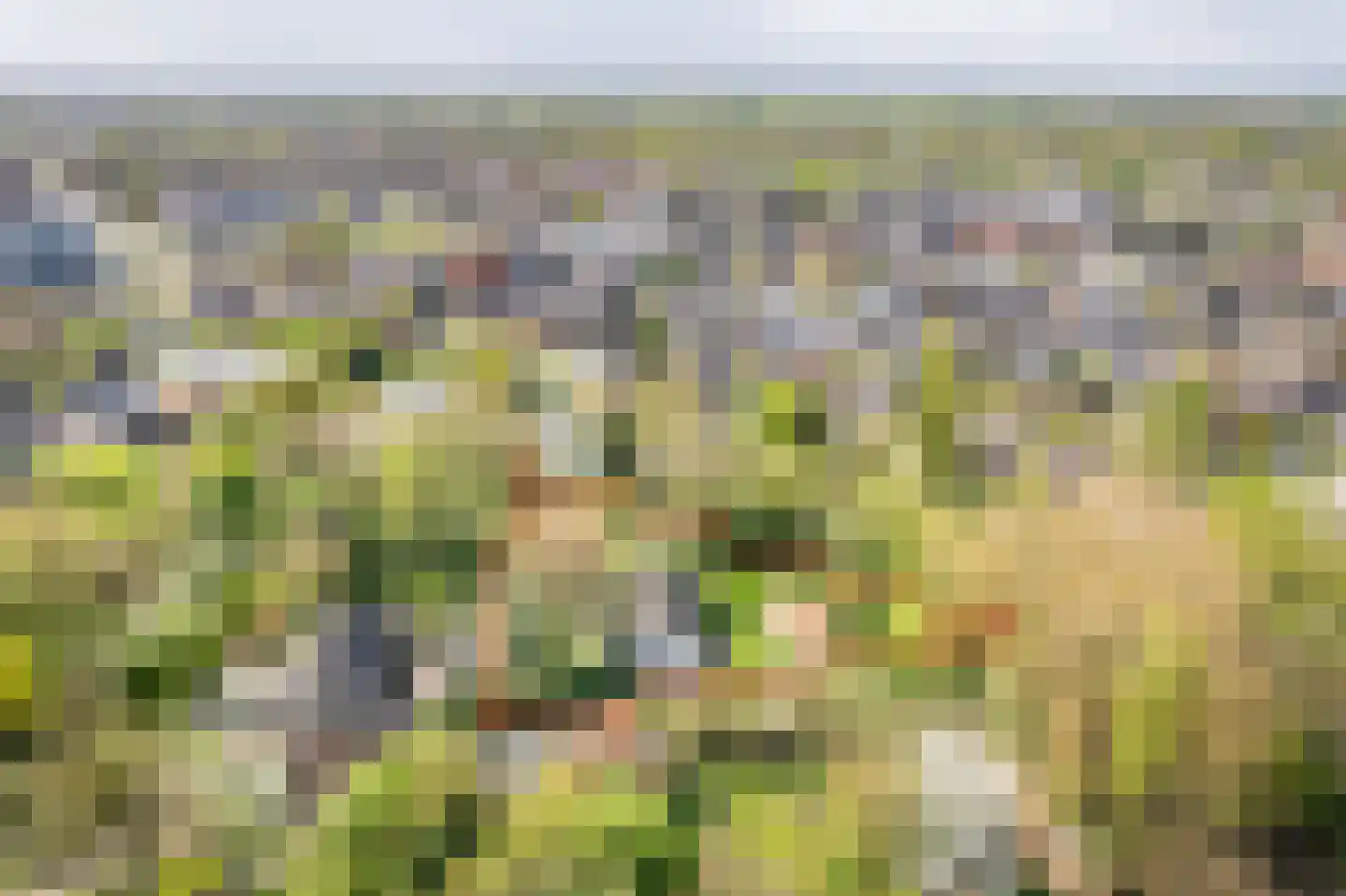 Stokhorsterweg 5 Ulft thumbnail 4