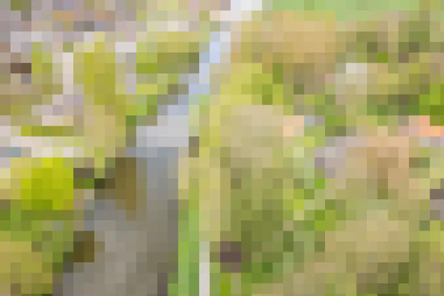 Stokhorsterweg 5 Ulft thumbnail 44