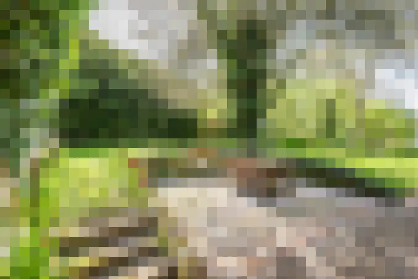 Stokhorsterweg 5 Ulft thumbnail 46