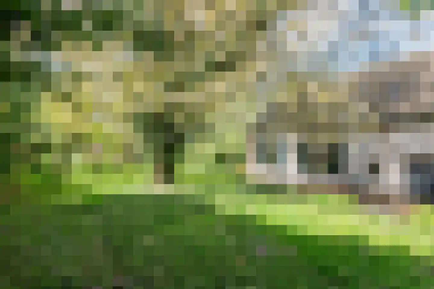 Stokhorsterweg 5 Ulft thumbnail 47