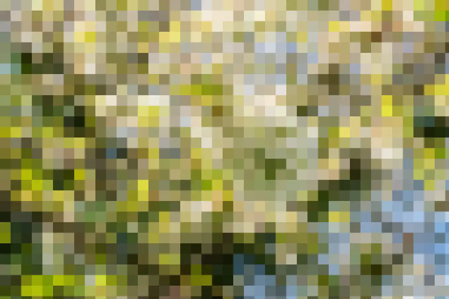 Stokhorsterweg 5 Ulft thumbnail 48