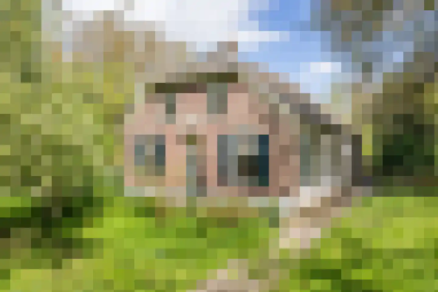 Stokhorsterweg 5 Ulft thumbnail 5
