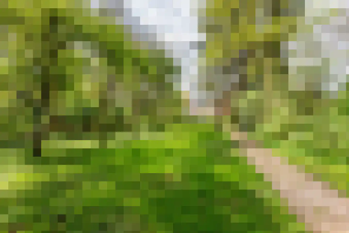 Stokhorsterweg 5 Ulft thumbnail 51