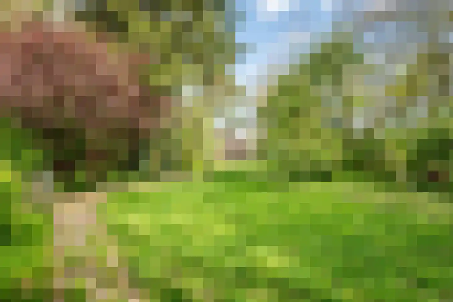 Stokhorsterweg 5 Ulft thumbnail 52