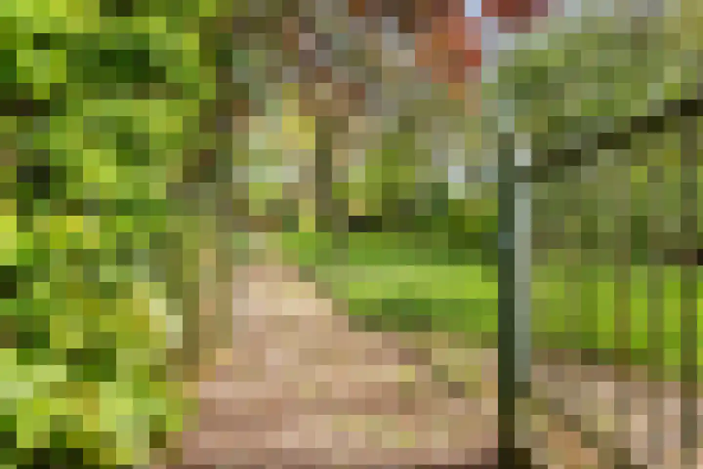 Stokhorsterweg 5 Ulft thumbnail 53