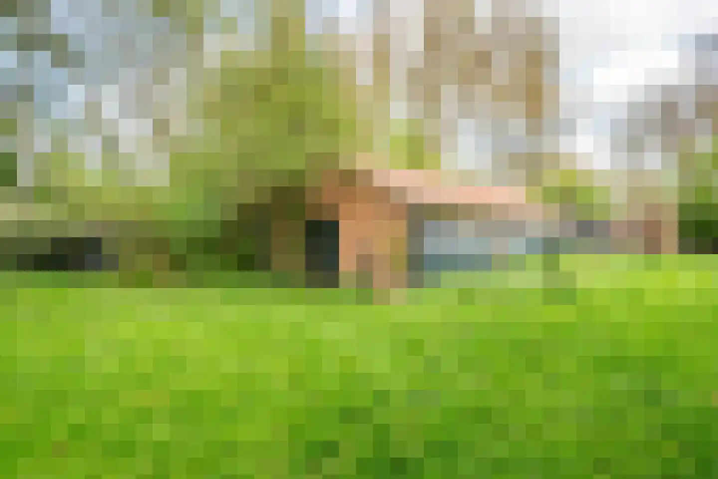 Stokhorsterweg 5 Ulft thumbnail 56