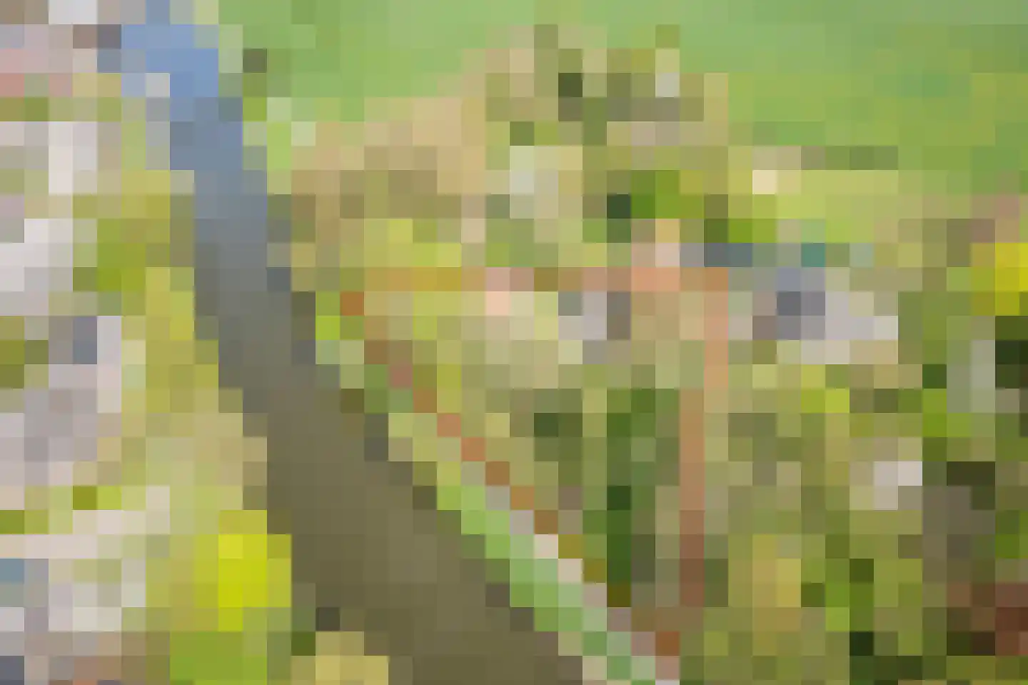Stokhorsterweg 5 Ulft thumbnail 6