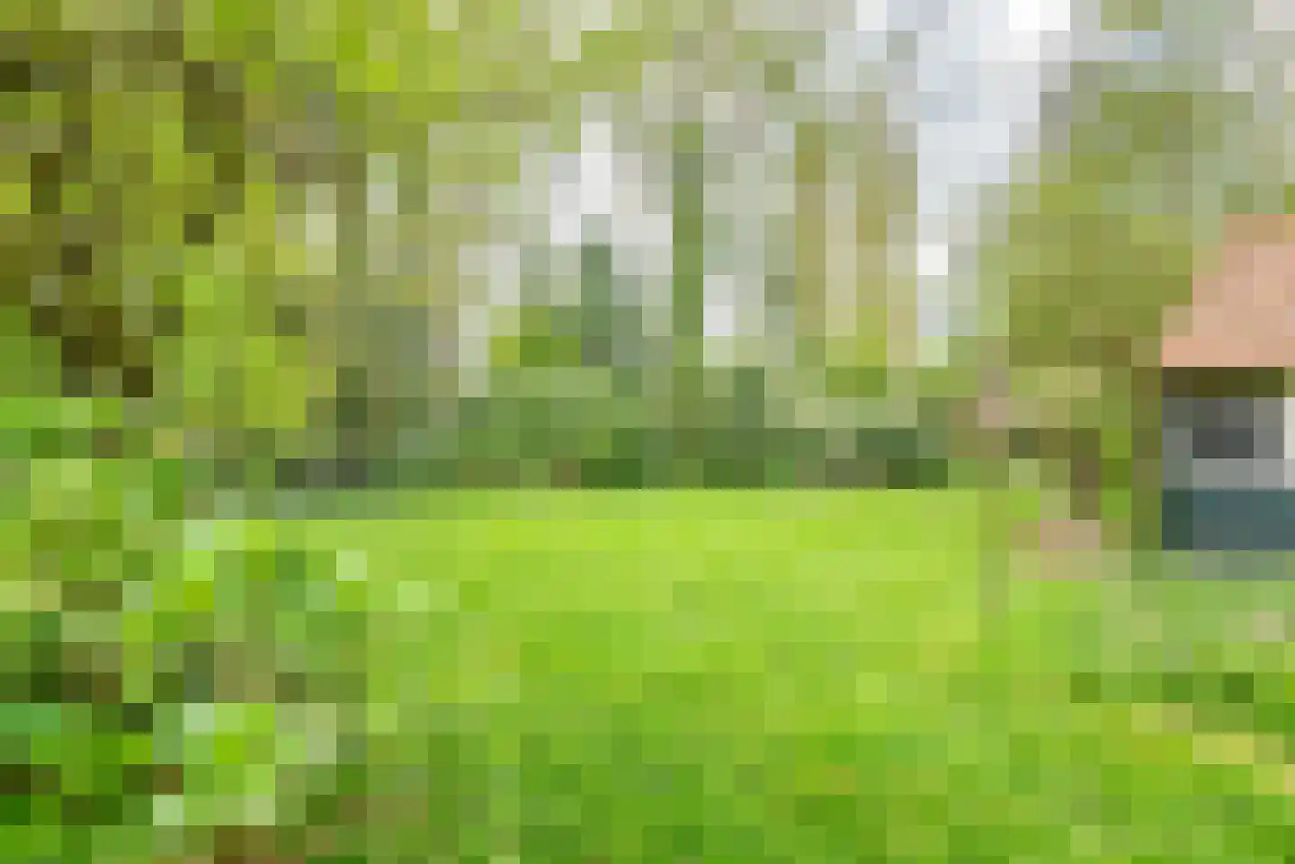 Stokhorsterweg 5 Ulft thumbnail 63