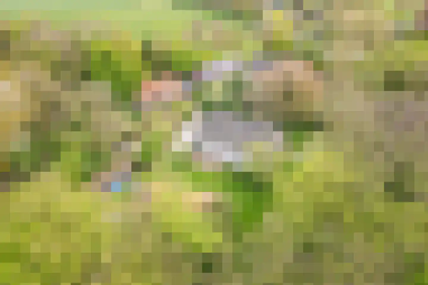 Stokhorsterweg 5 Ulft thumbnail 65