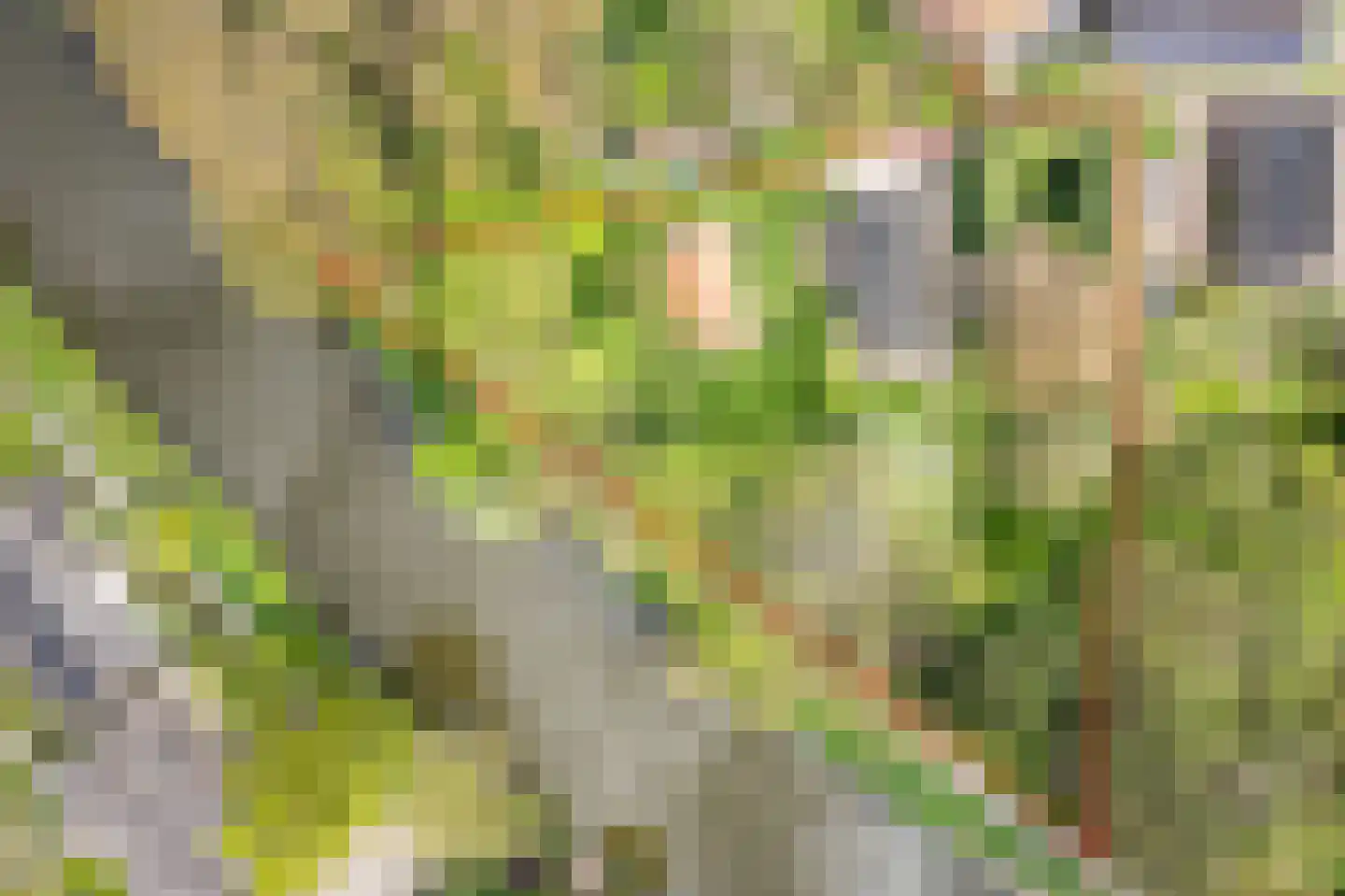 Stokhorsterweg 5 Ulft thumbnail 66
