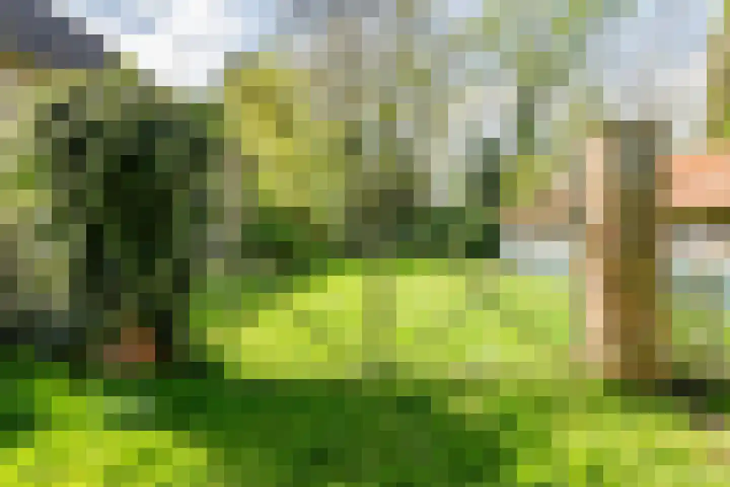 Stokhorsterweg 5 Ulft thumbnail 67