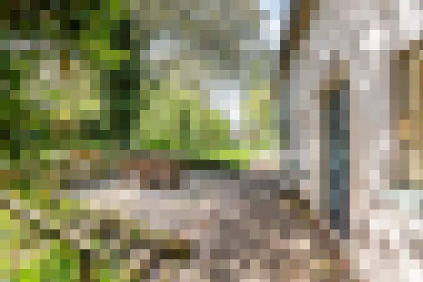 Stokhorsterweg 5 Ulft thumbnail 9