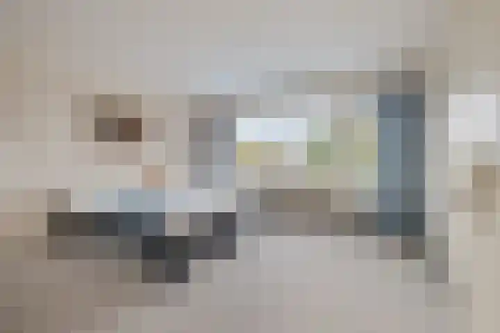 Stokhorstlaan 92 Enschede thumbnail 32