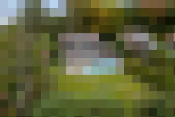 Stokhorstlaan 92 Enschede thumbnail 4