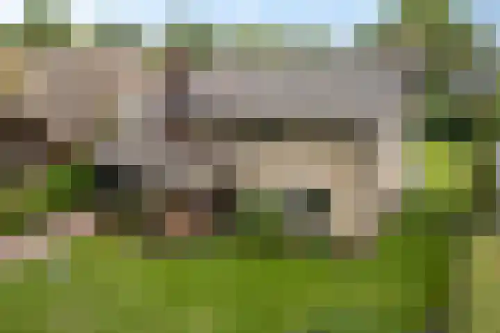 Stokhorstlaan 92 Enschede thumbnail 5