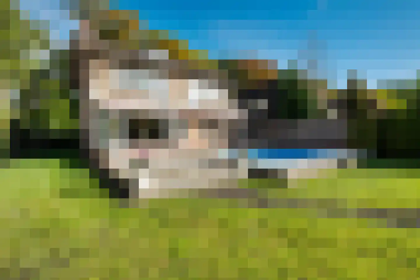 Stokhorstlaan 92 Enschede thumbnail 52