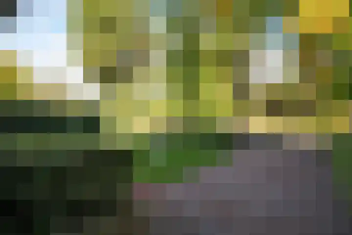 Stokhorstlaan 92 Enschede thumbnail 8