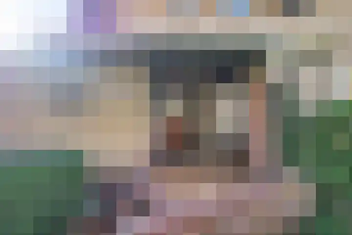 Stokhorstlaan 92 Enschede thumbnail 9