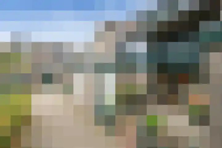 Stokkenmolen 16 Koog aan de Zaan thumbnail 28