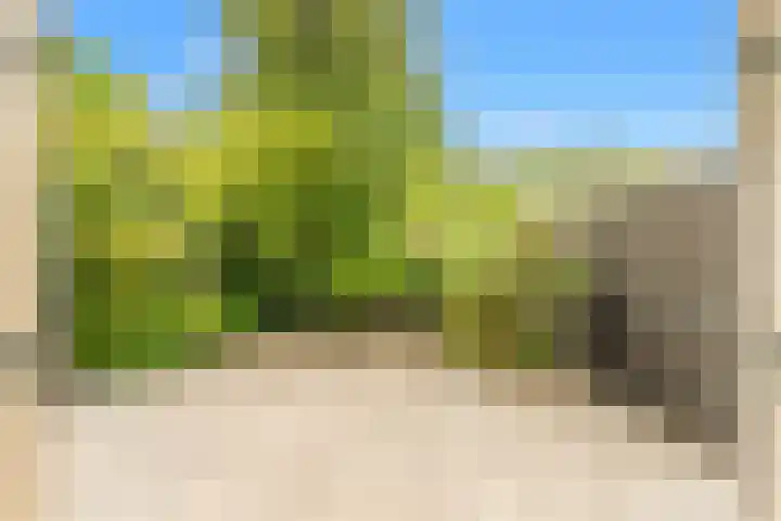 Stokkenmolen 17 Koog aan de Zaan thumbnail 16