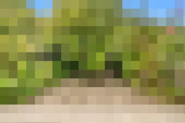 Stokkenmolen 17 Koog aan de Zaan thumbnail 18