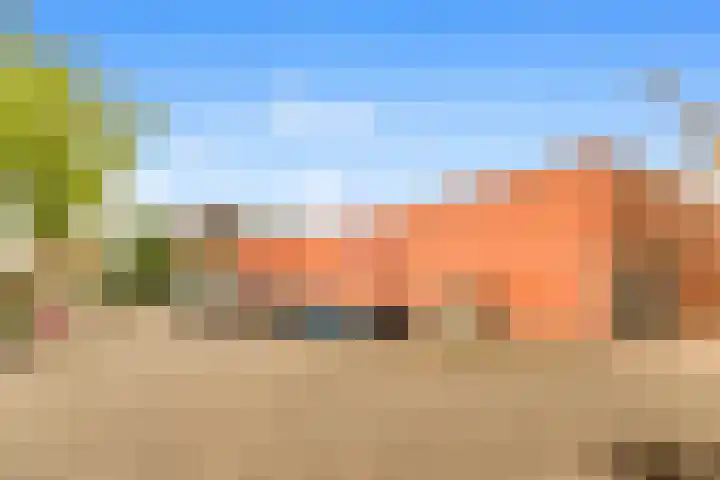 Stokkenmolen 17 Koog aan de Zaan thumbnail 20
