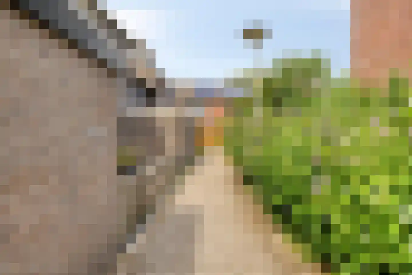 Stokkenmolen 36 Koog aan de Zaan thumbnail 19