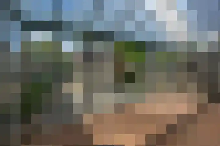 Stokkenmolen 53 Koog aan de Zaan thumbnail 20