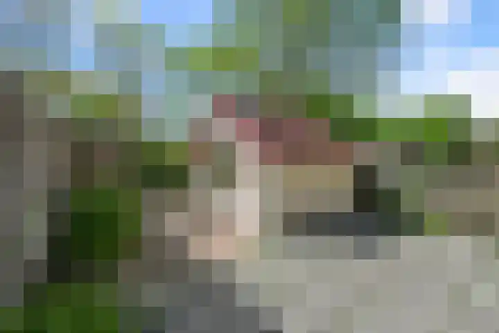 Stokkenmolen 53 Koog aan de Zaan thumbnail 22