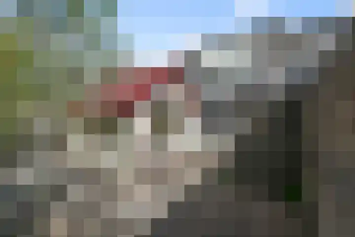 Stokkenmolen 53 Koog aan de Zaan thumbnail 23
