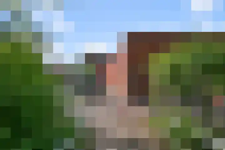 Stokkenmolen 53 Koog aan de Zaan thumbnail 26