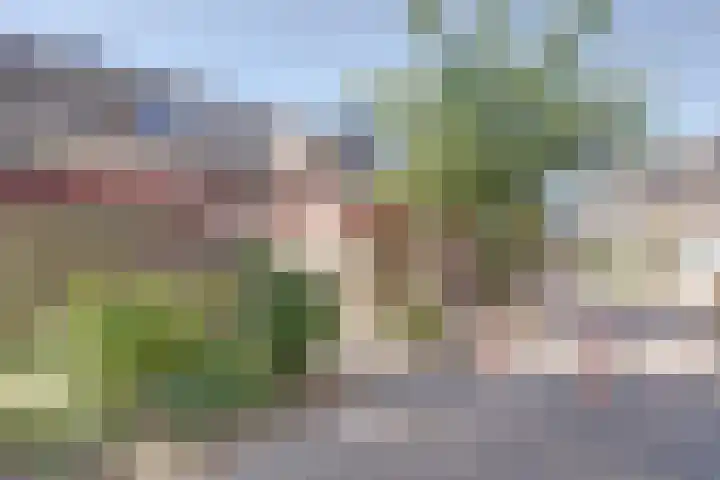 Stokkenmolen 55 Koog aan de Zaan thumbnail 36