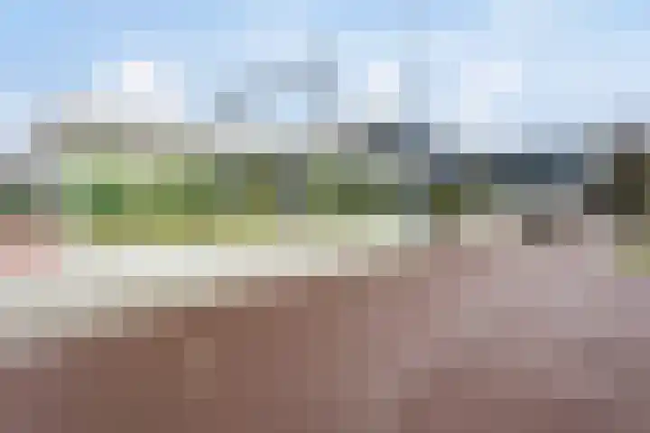 Stokkenmolen 55 Koog aan de Zaan thumbnail 37