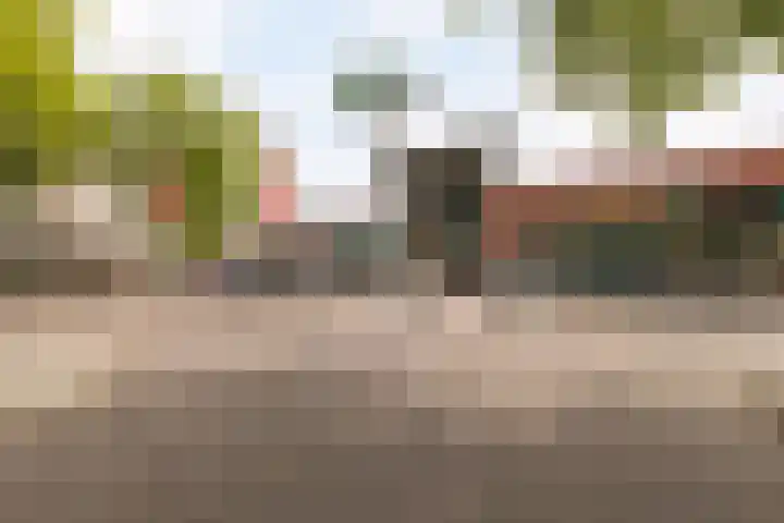 Stokkenmolen 55 Koog aan de Zaan thumbnail 38