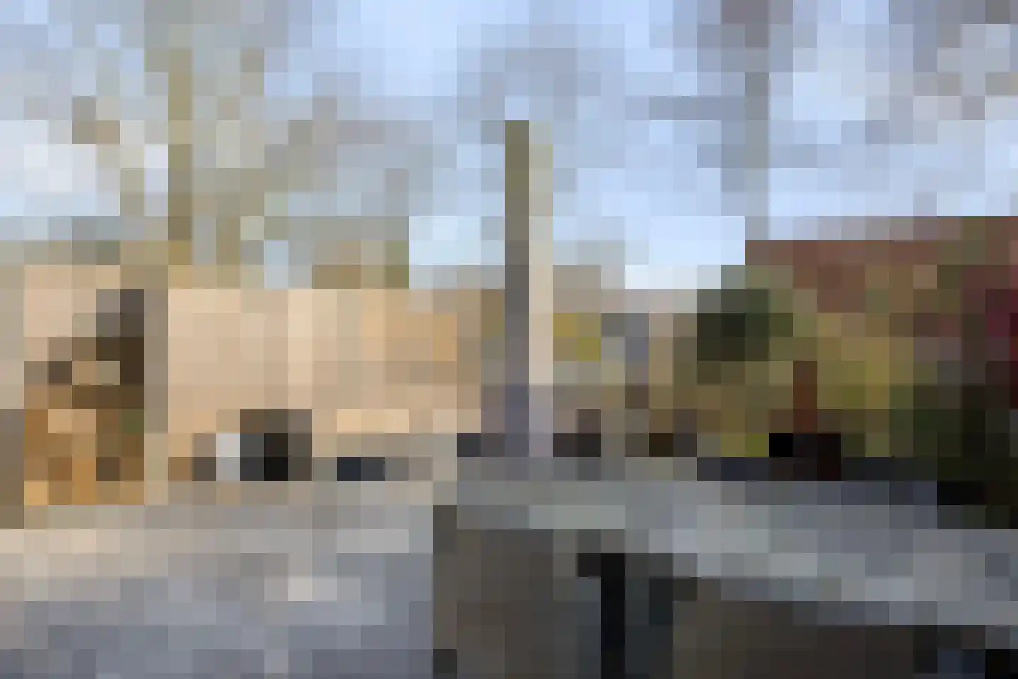 Stokkenmolen 61 Koog aan de Zaan thumbnail 25