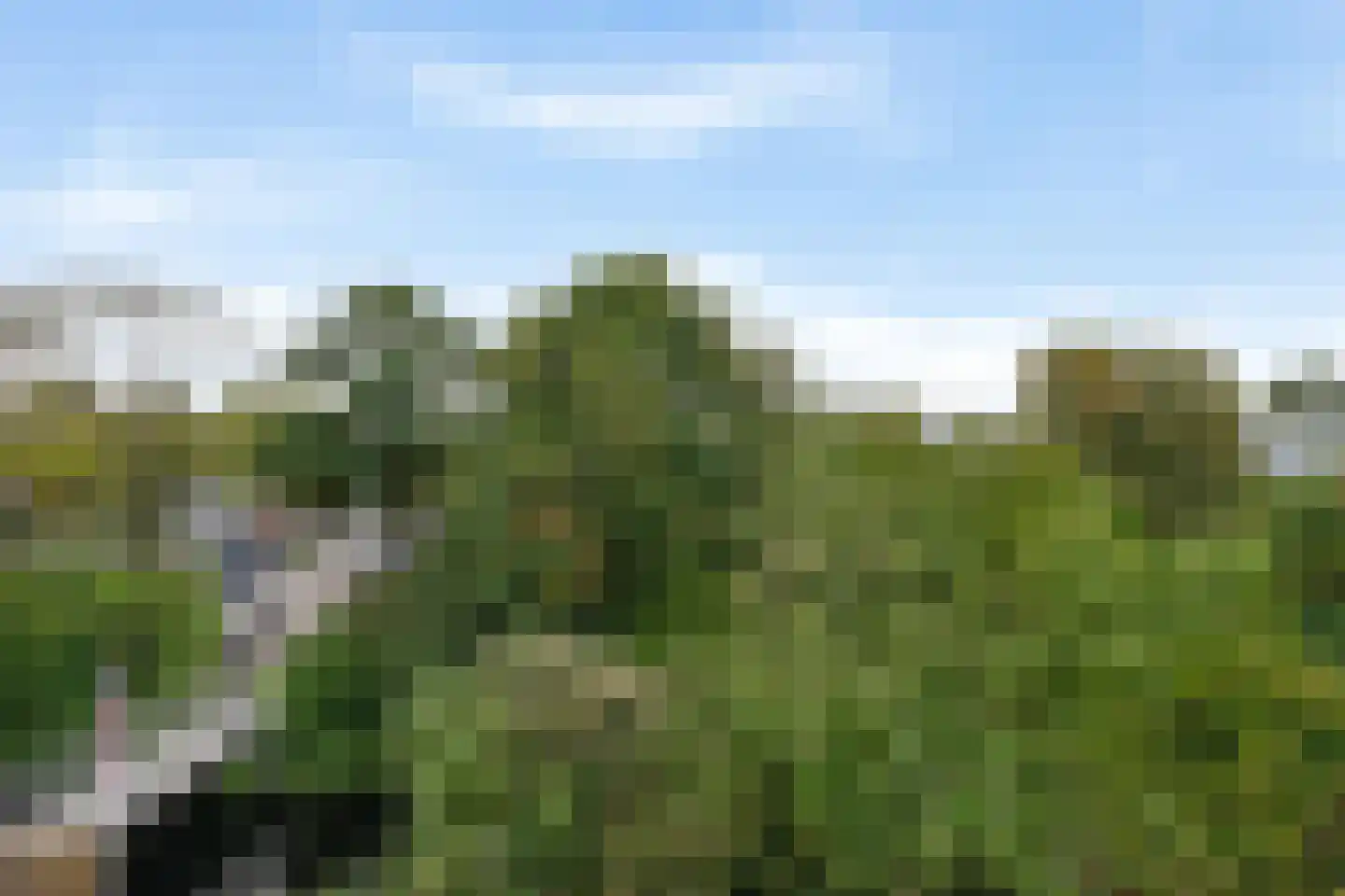 Stokkenmolen 67 Koog aan de Zaan thumbnail 28