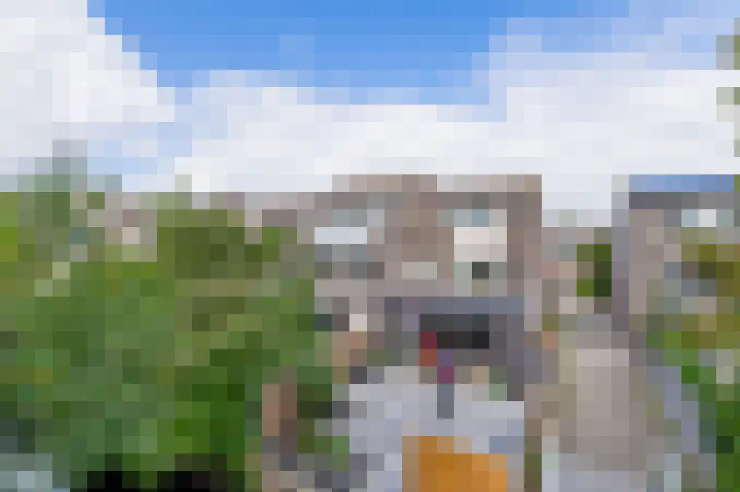 Stokkenmolen 67 Koog aan de Zaan thumbnail 31
