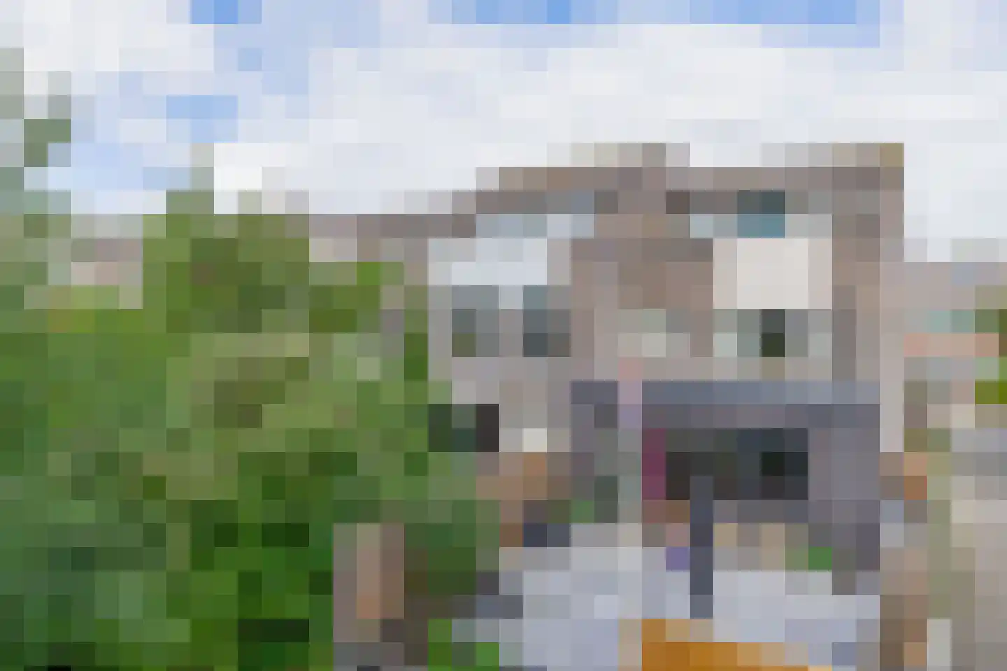Stokkenmolen 67 Koog aan de Zaan thumbnail 32