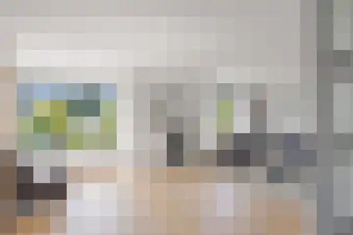 Stokkershagen 12 Tijnje thumbnail 12