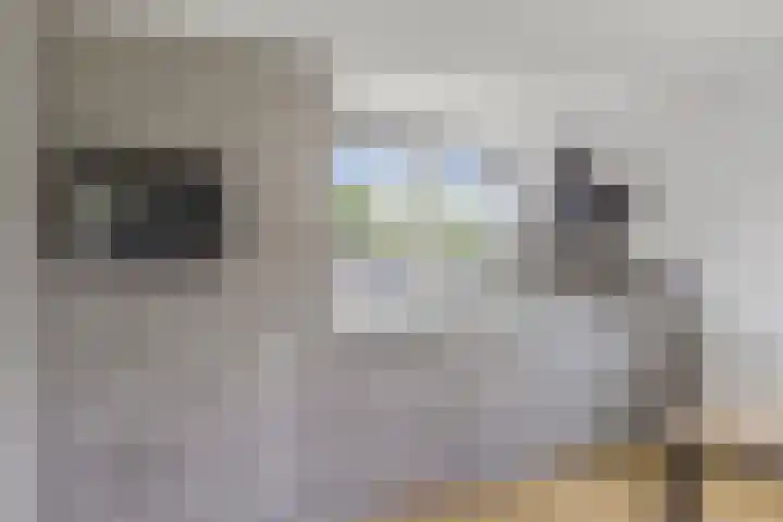 Stokkershagen 12 Tijnje thumbnail 18